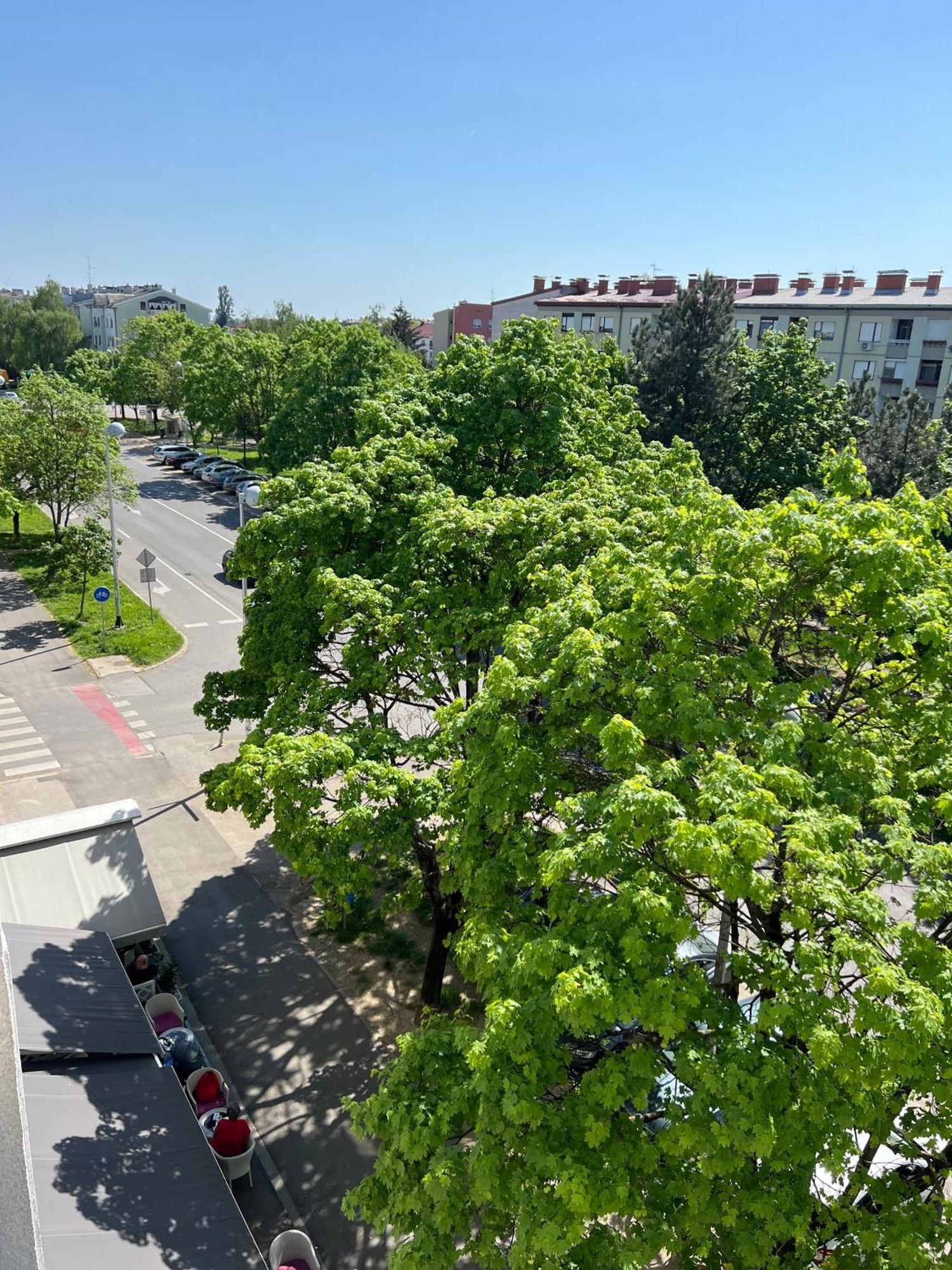 Apartma Rita Apartment-free Parking&wifi